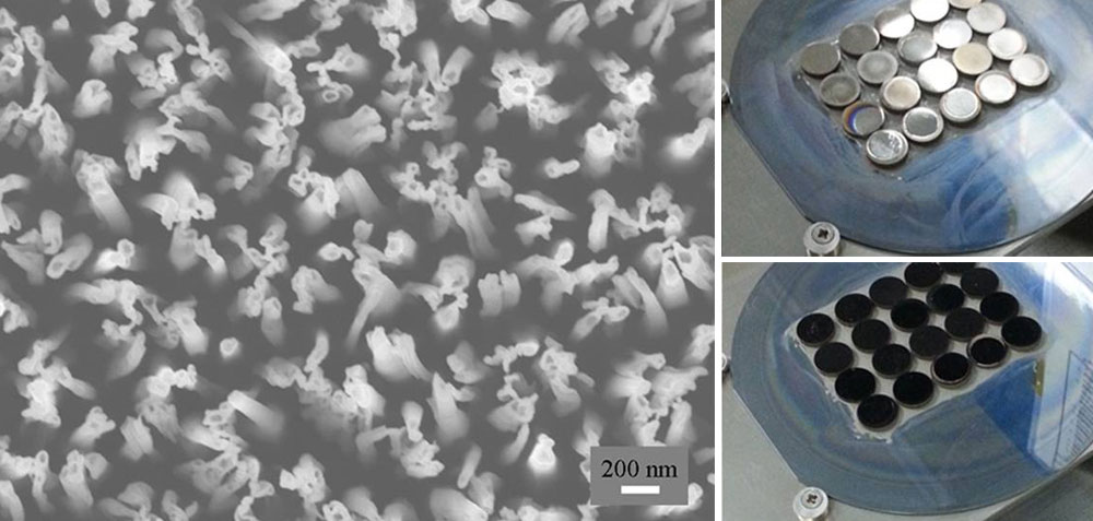 Titanium Implant